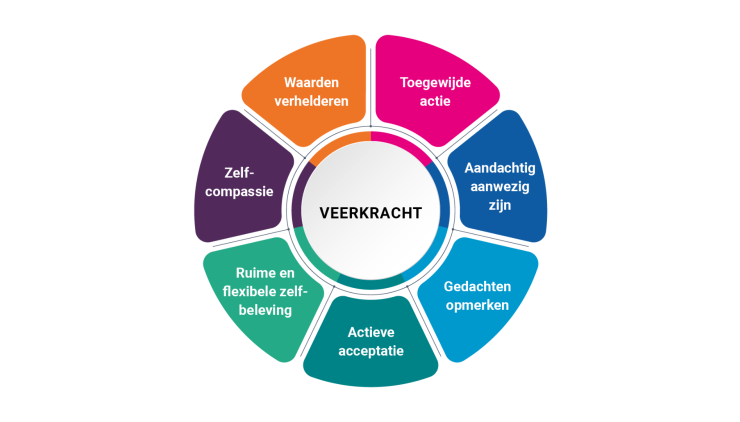 Figuur 2 Veerkracht